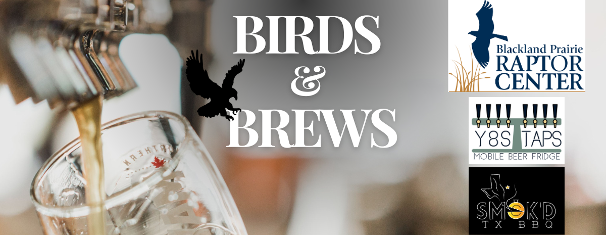 Birds And Brews